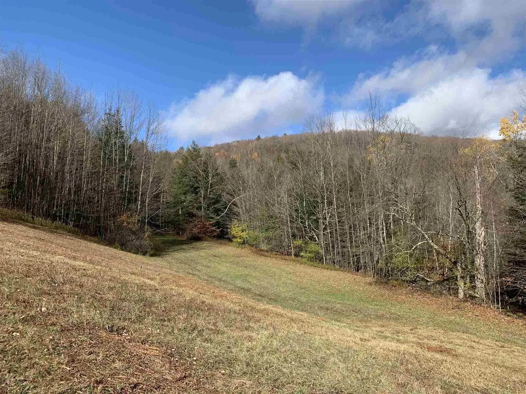 6656a South Road Woodstock VT 05071