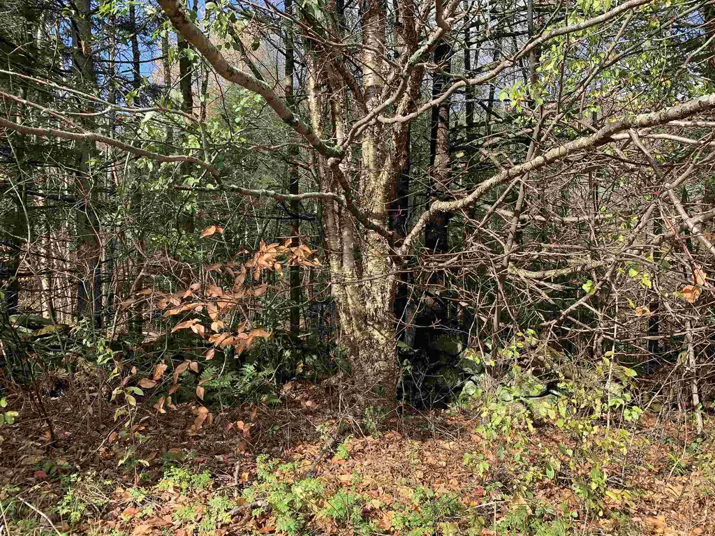 6656a South Road Woodstock VT 05071