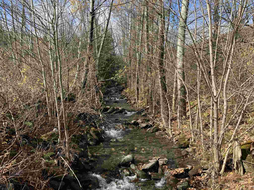 6656a South Road Woodstock VT 05071