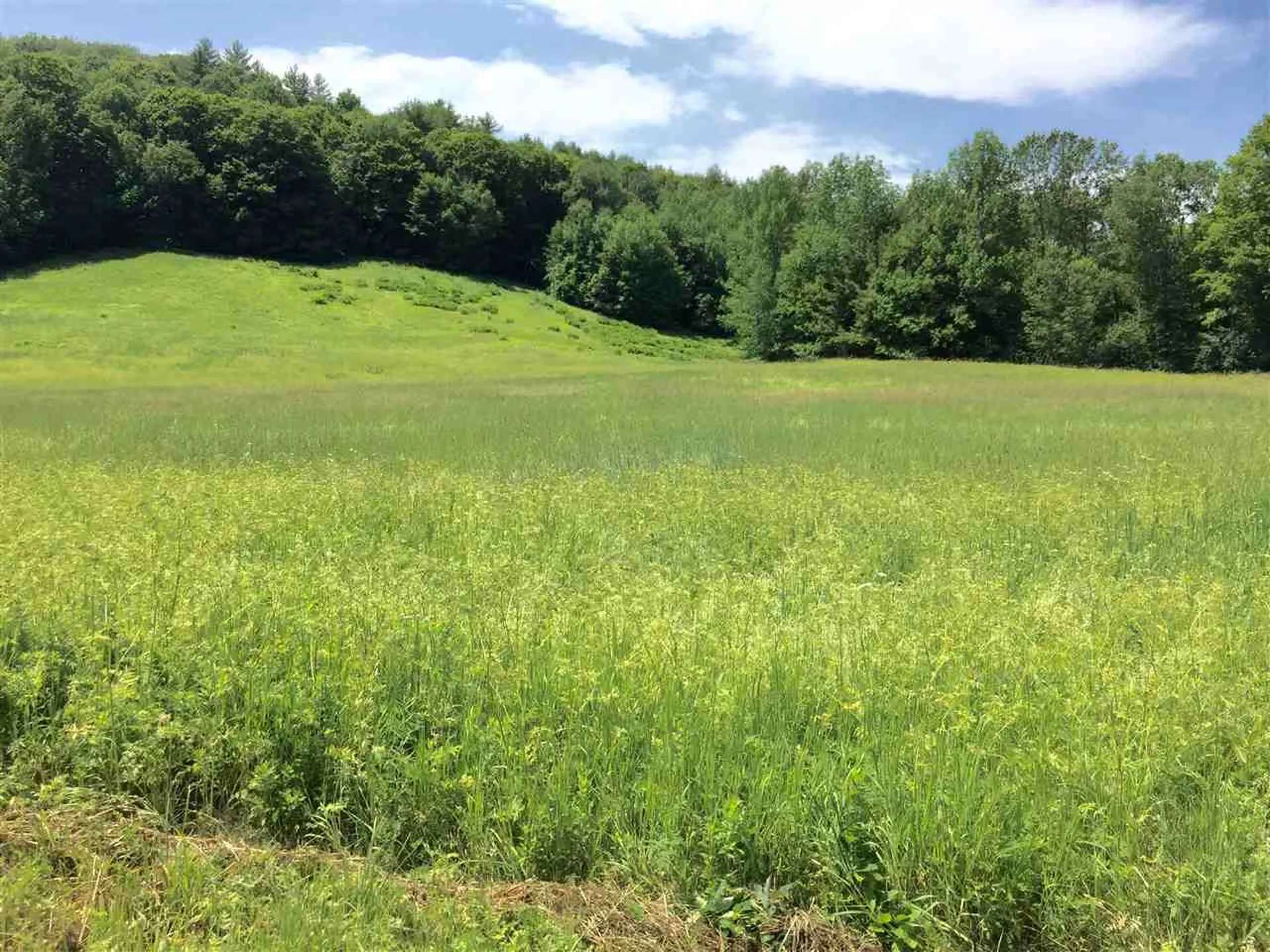6656a South Road Woodstock VT 05071