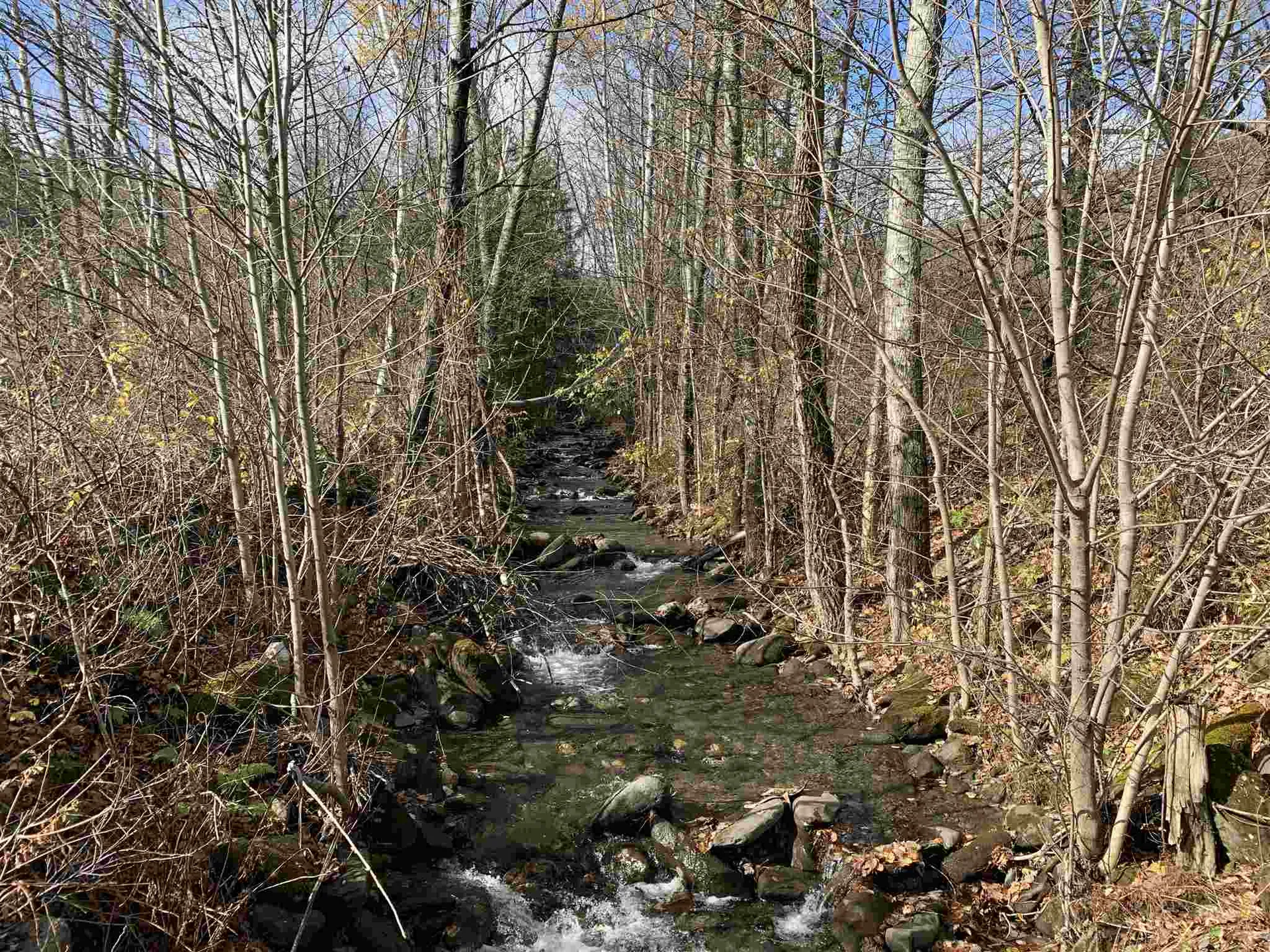 6656a South Road Woodstock VT 05071
