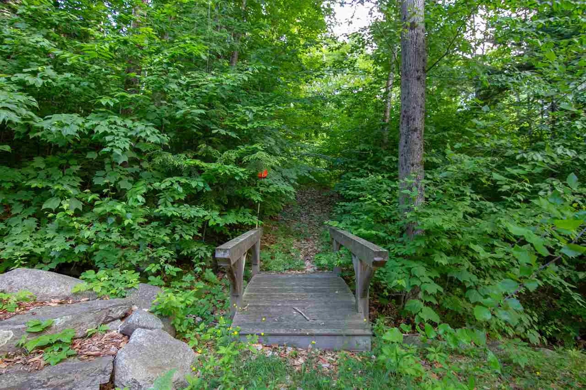 28 Yellow Birch Circle Lincoln NH 03251