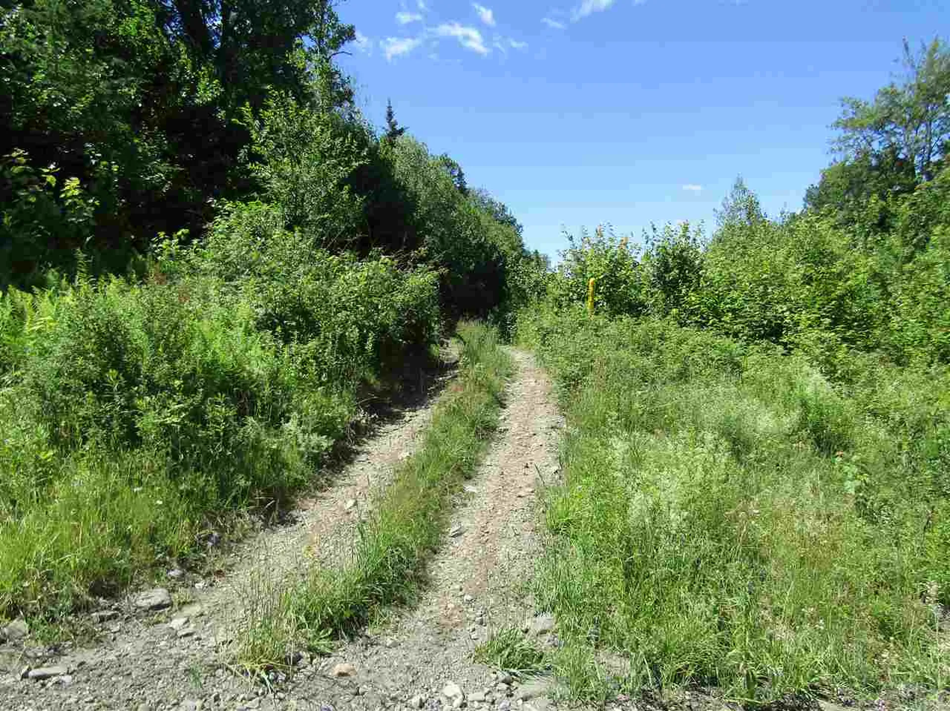 0 Pierre Road Stewartstown NH 03597