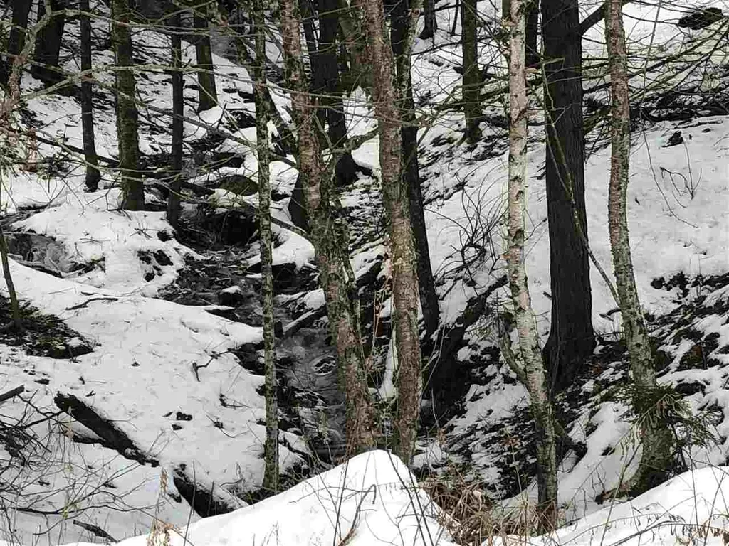 Butternut Hill Road Waitsfield VT 05673-0000