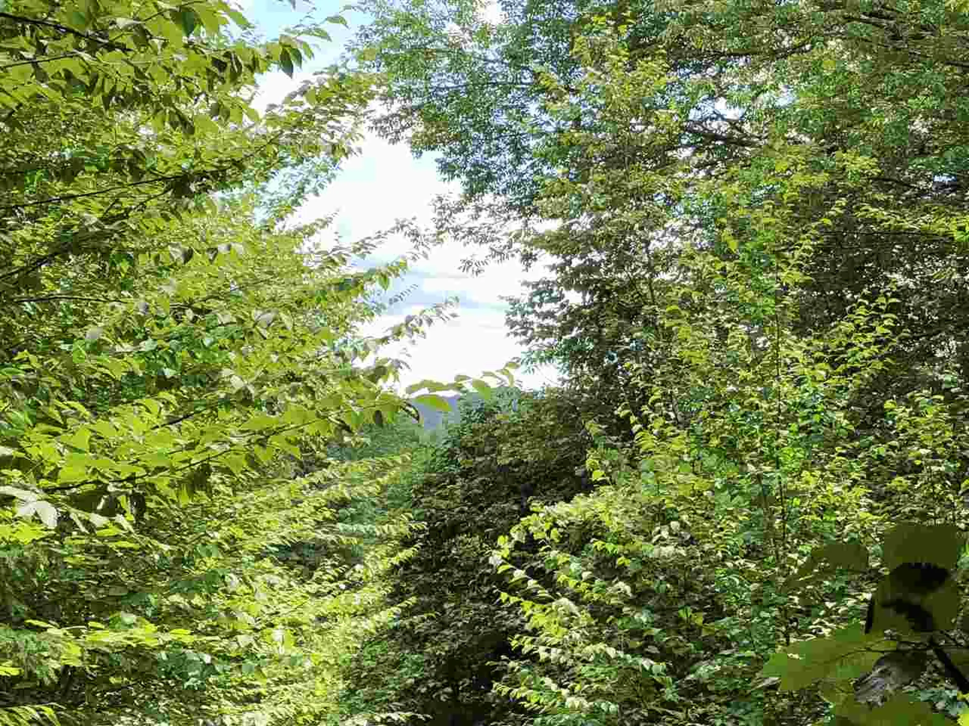 Butternut Hill Road Waitsfield VT 05673-0000