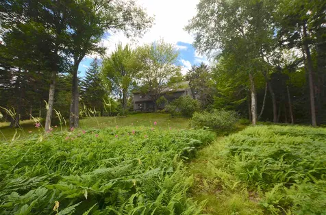 38 Lower Tamarack Road Stowe VT 05672
