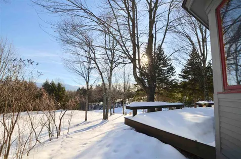 38 Lower Tamarack Road Stowe VT 05672
