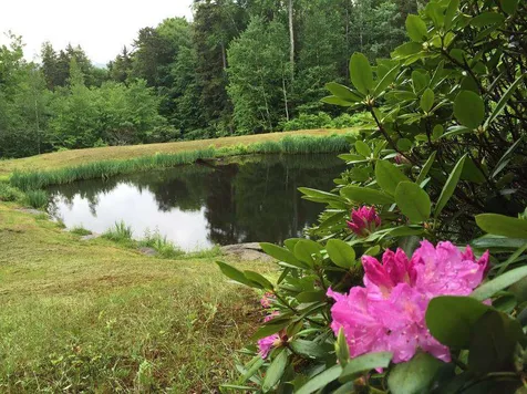 38 Lower Tamarack Road Stowe VT 05672
