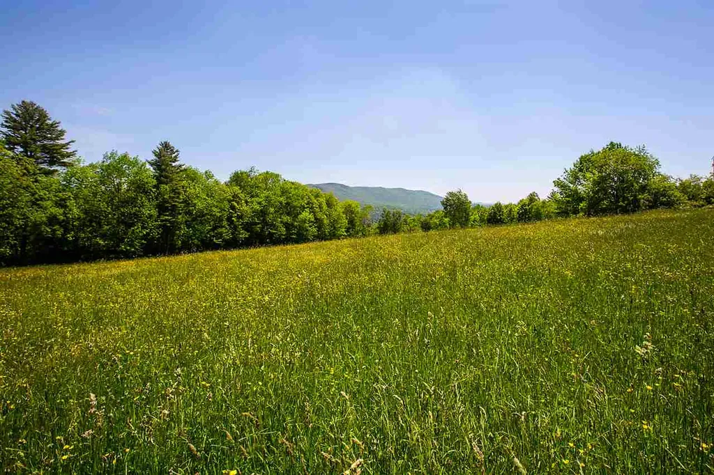 169 Landgrove Road Weston VT 05161