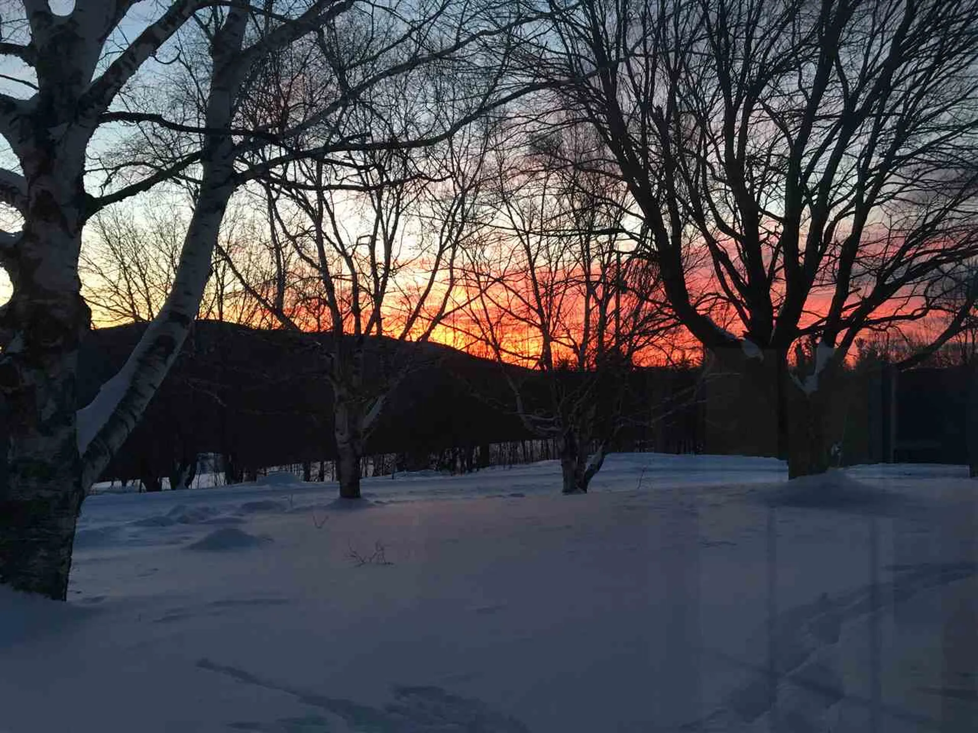 169 Landgrove Road Weston VT 05161