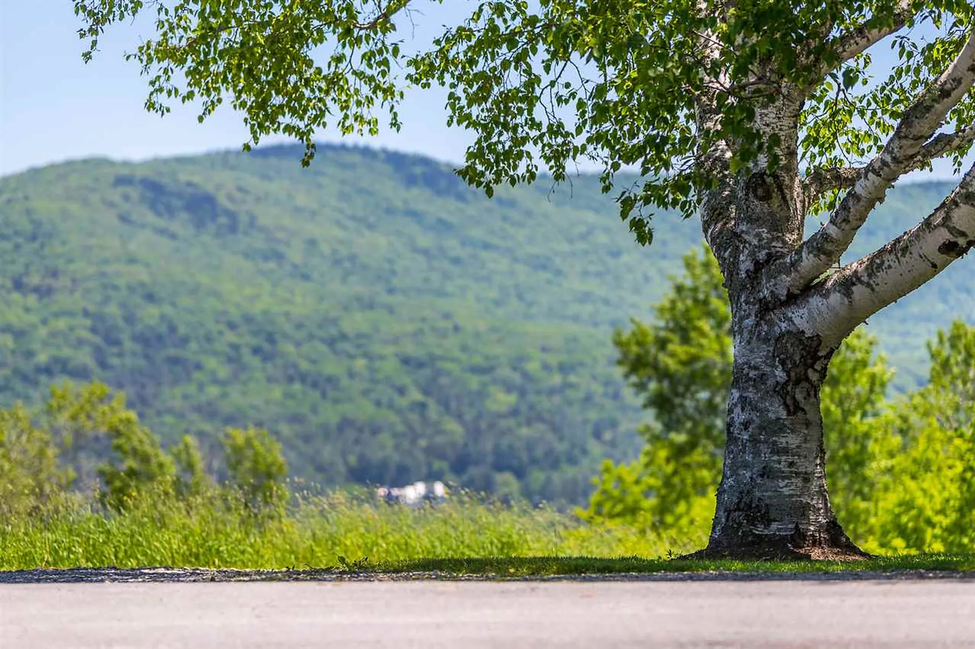 169 Landgrove Road Weston VT 05161