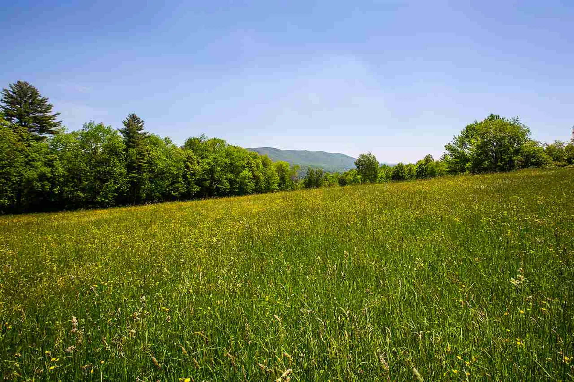 169 Landgrove Road Weston VT 05161