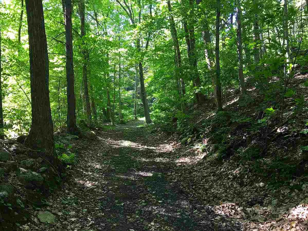 78 Parker Road Brookline VT 05345