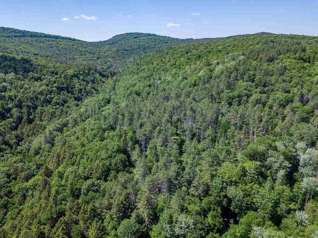 78 Parker Road Brookline VT 05345