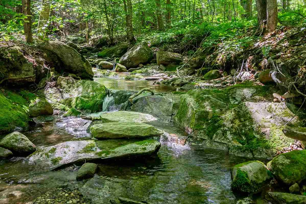 78 Parker Road Brookline VT 05345