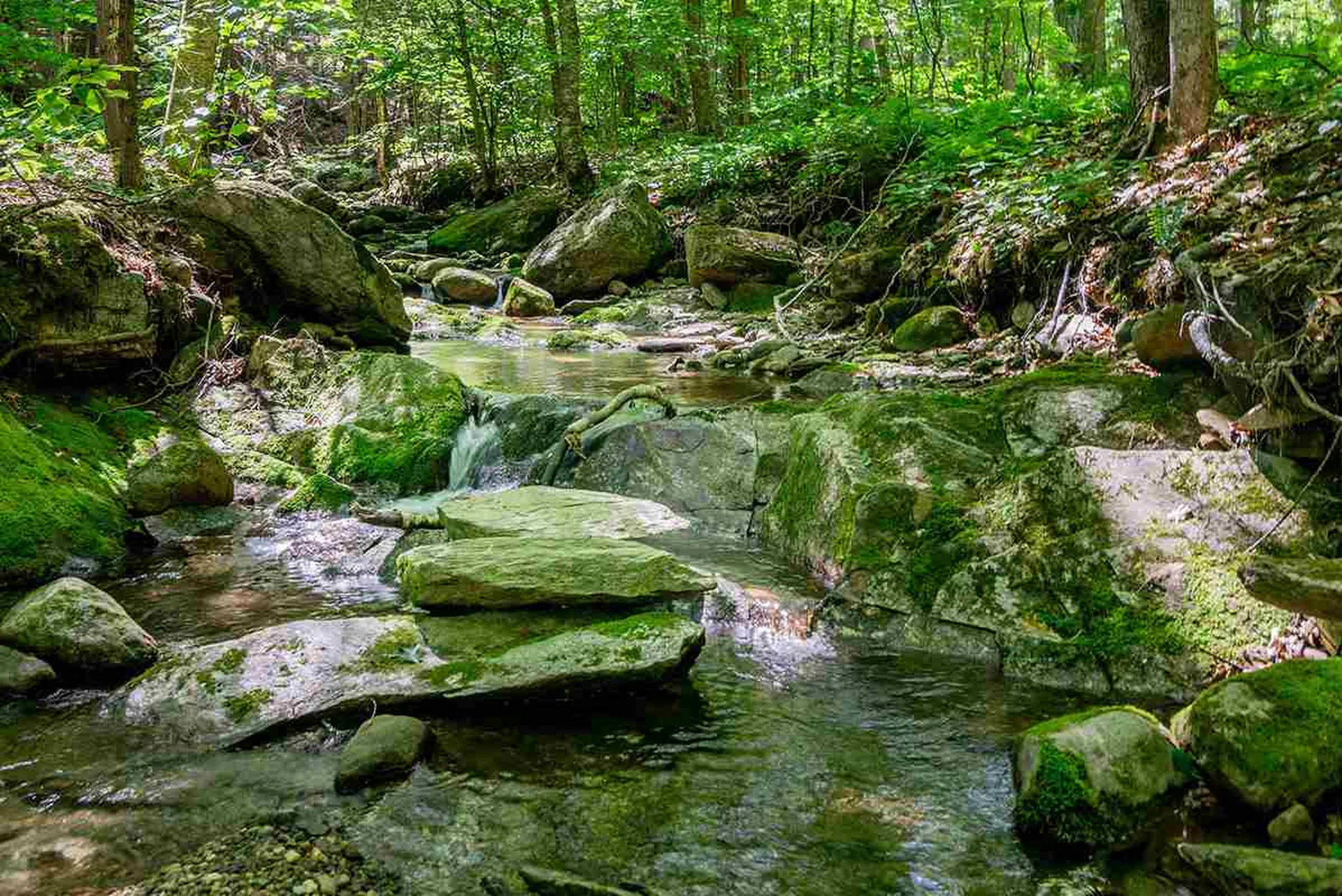 78 Parker Road Brookline VT 05345