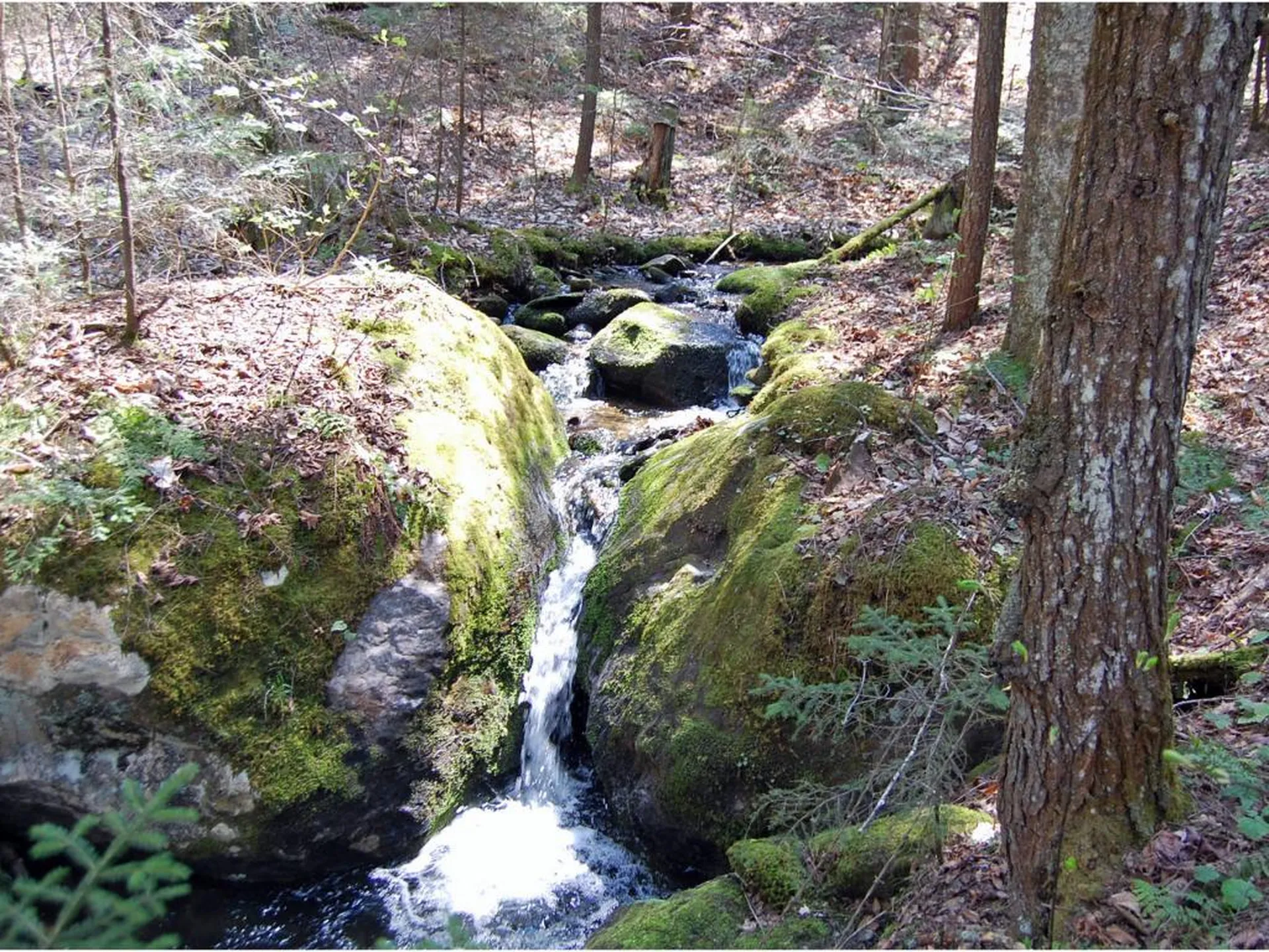 0 Center Fayston Road Fayston VT 05673