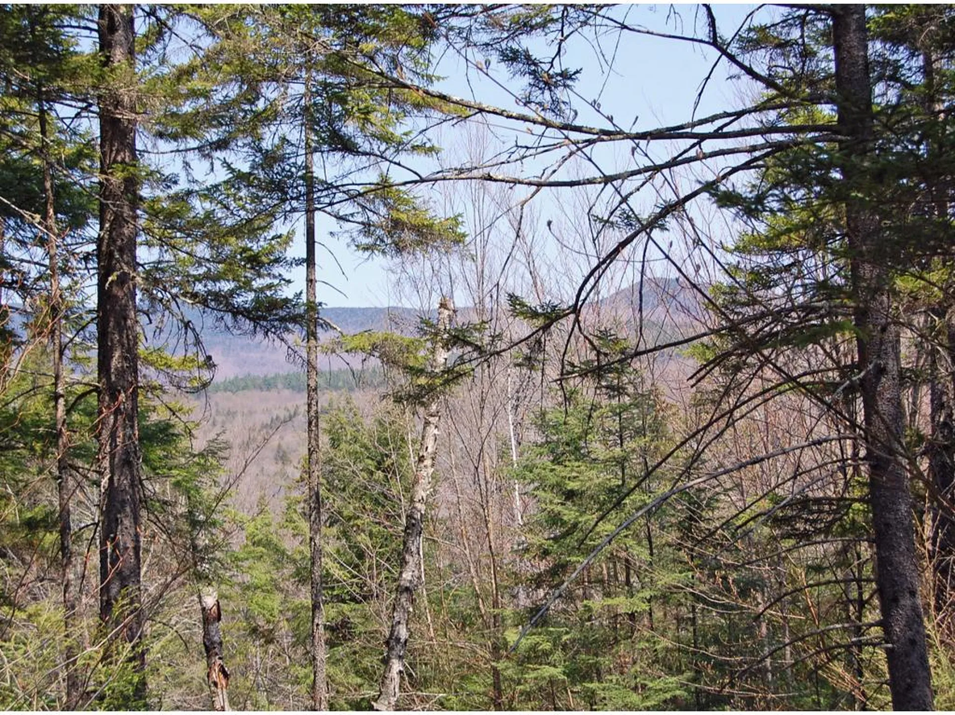 0 Center Fayston Road Fayston VT 05673