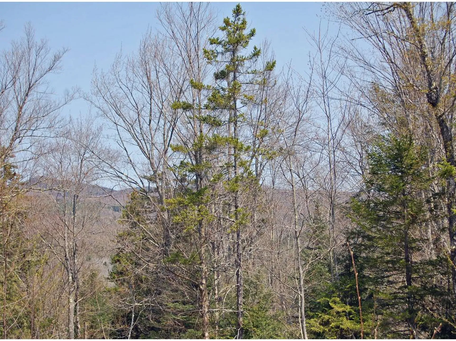 0 Center Fayston Road Fayston VT 05673