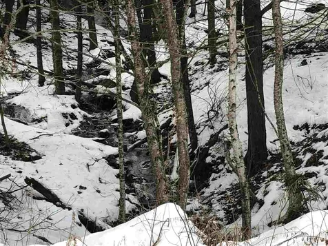 0 Center Fayston Road Fayston VT 05673