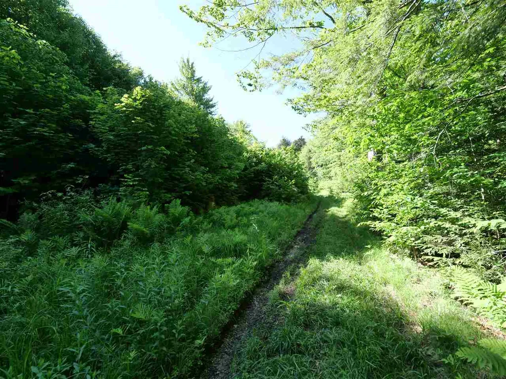 Patch Road Morristown VT 05661