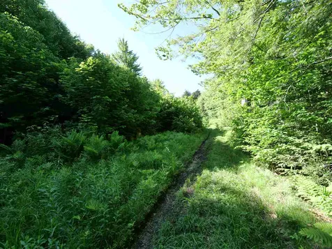 Patch Road Morristown VT 05661