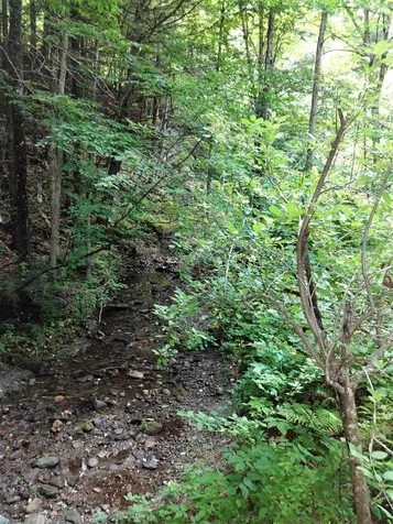 6318 Vt Route 107 Stockbridge VT 05772