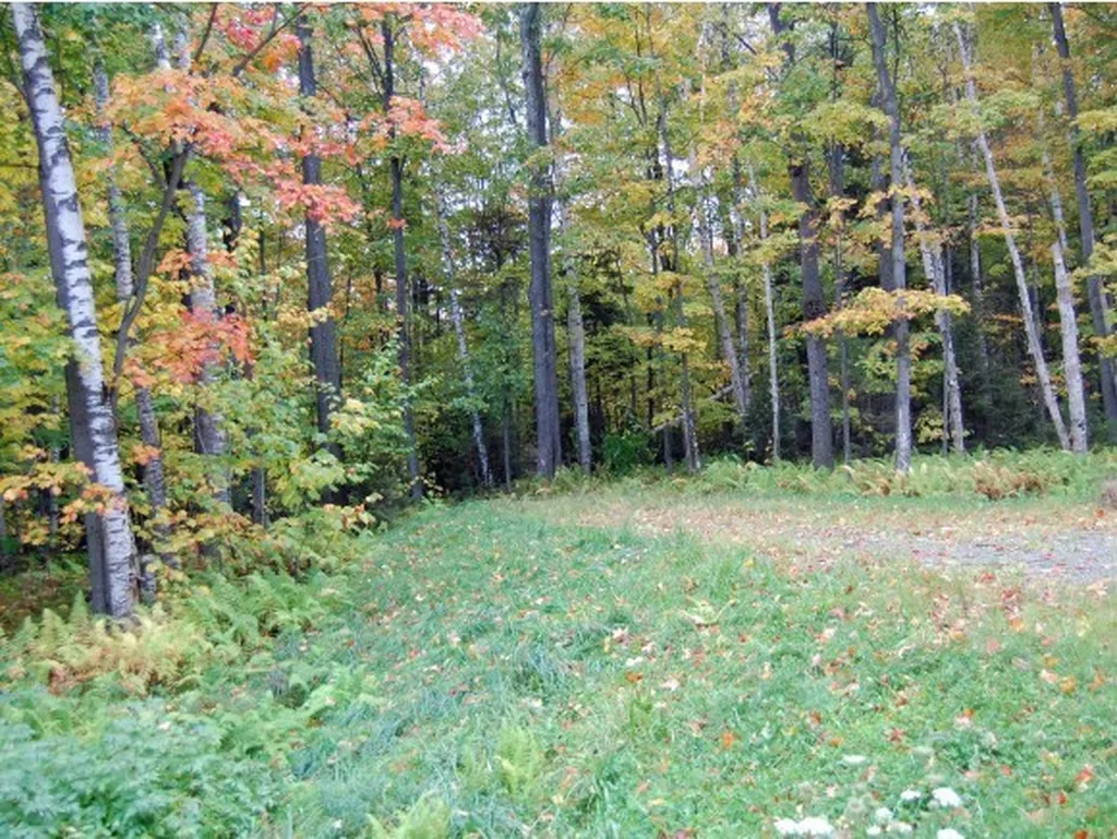 12 Lincoln Ridge Road Warren VT 05674