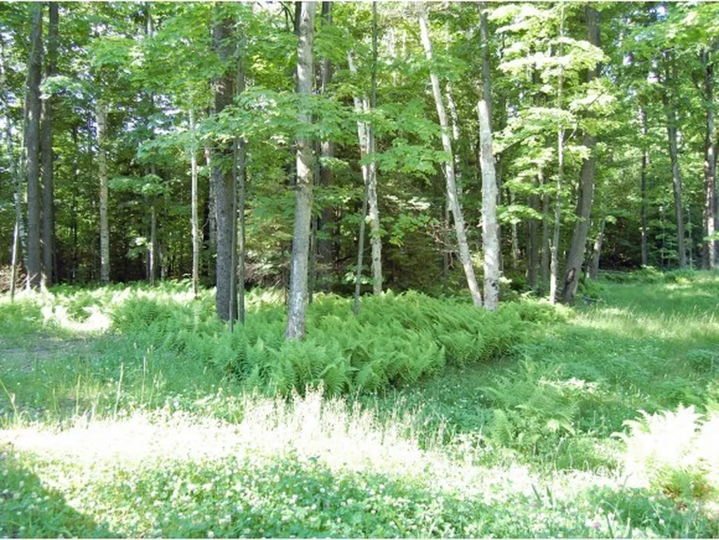 12 Lincoln Ridge Road Warren VT 05674