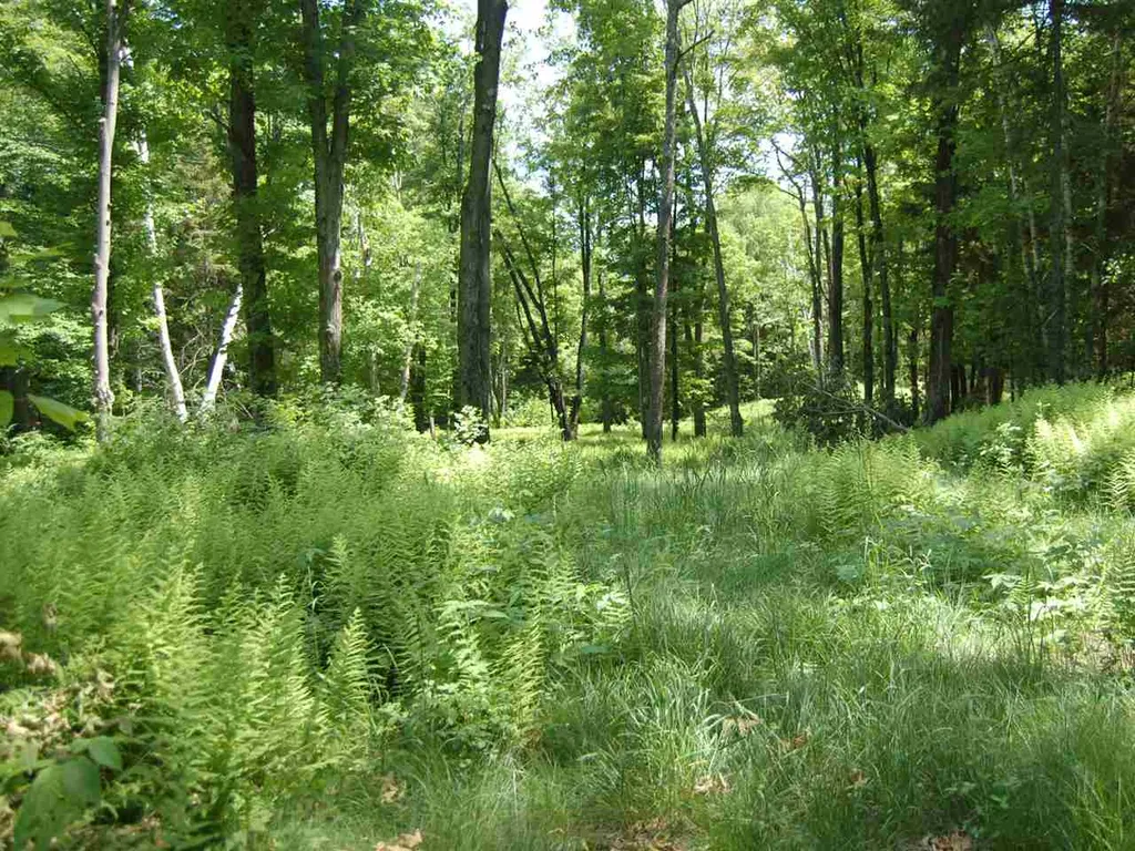 12 Lincoln Ridge Road Warren VT 05674