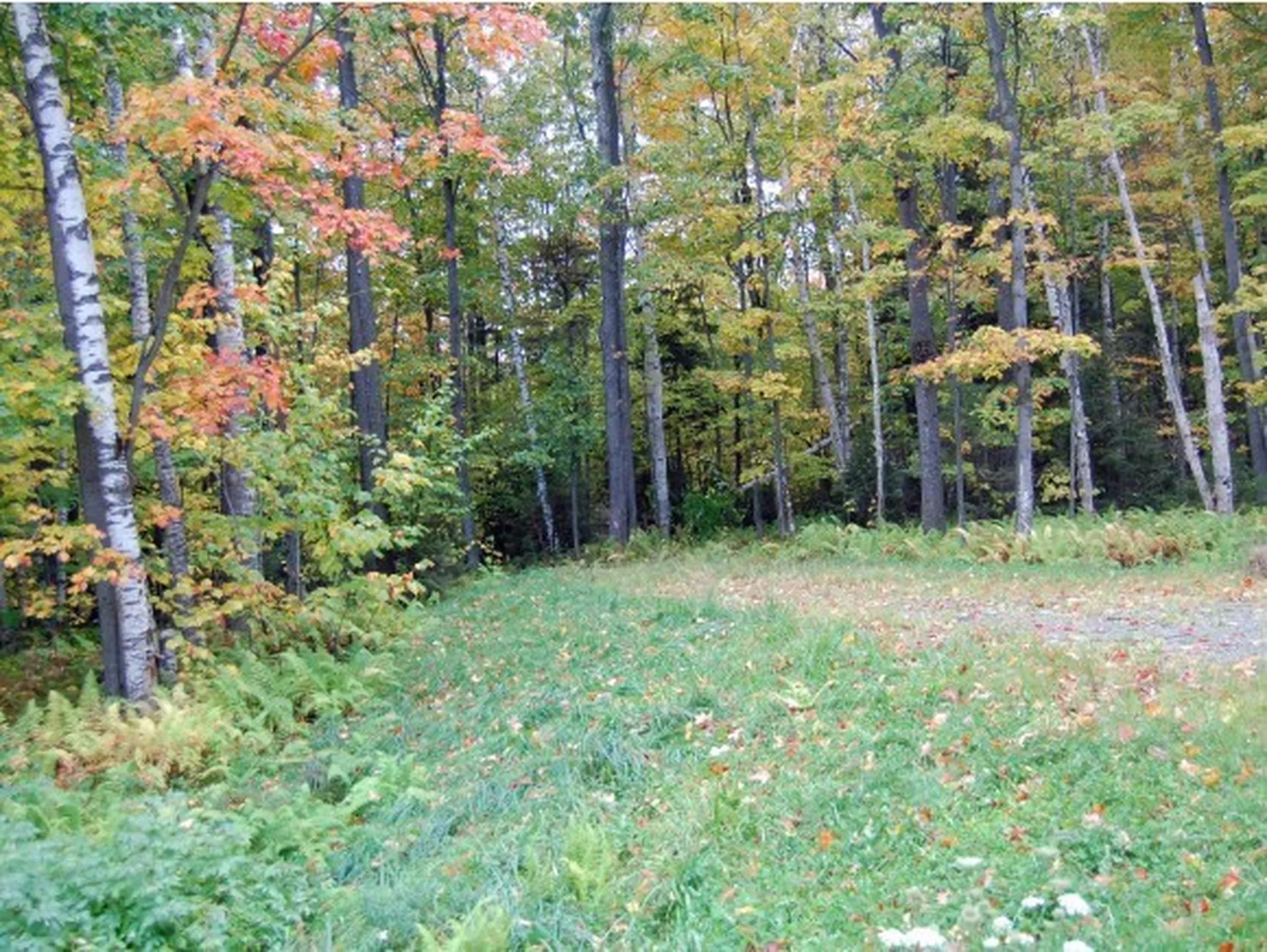 12 Lincoln Ridge Road Warren VT 05674