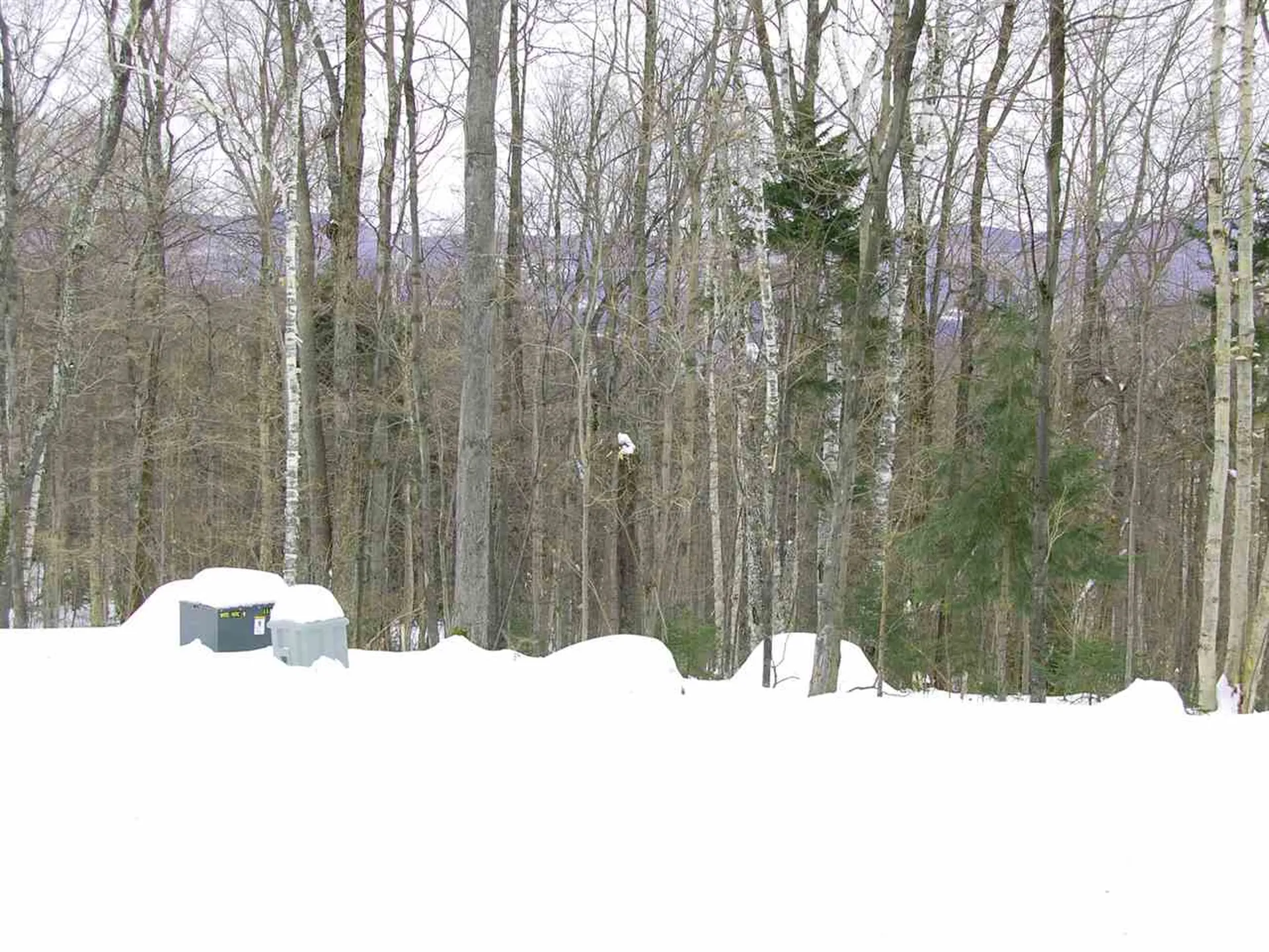 12 Lincoln Ridge Road Warren VT 05674