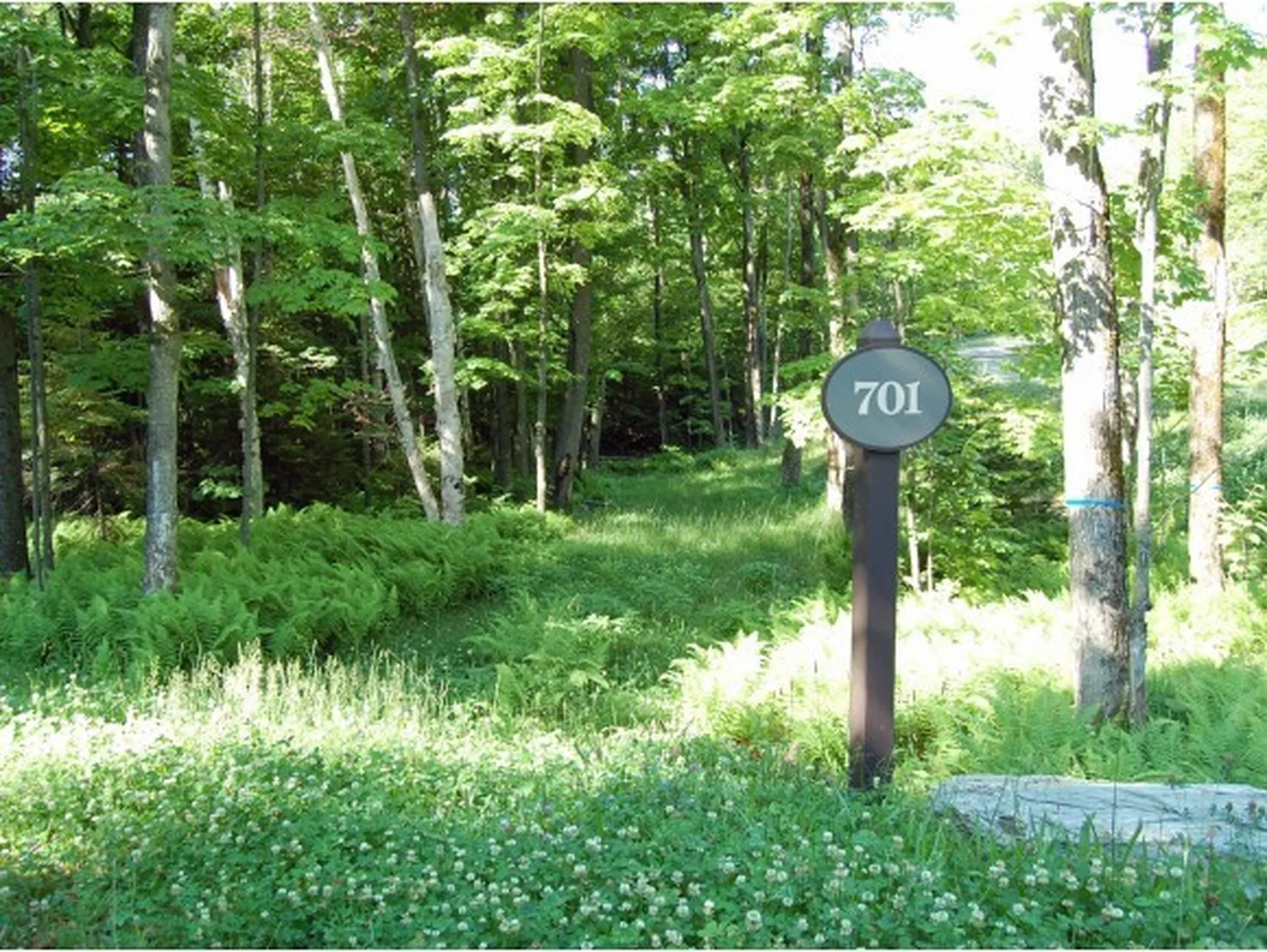 12 Lincoln Ridge Road Warren VT 05674