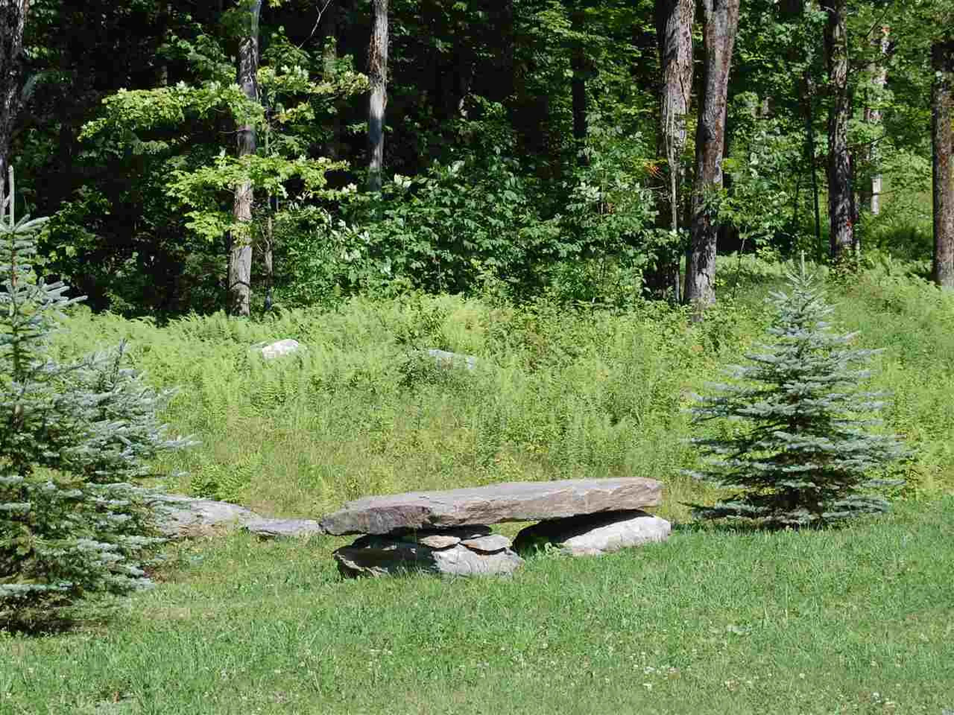 12 Lincoln Ridge Road Warren VT 05674