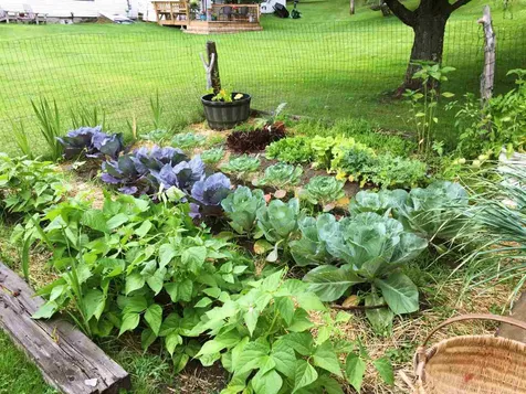 894 Nelson Hill Road Derby VT 05829