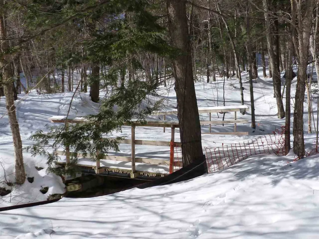 251 Mountainside Drive Warren VT 05674