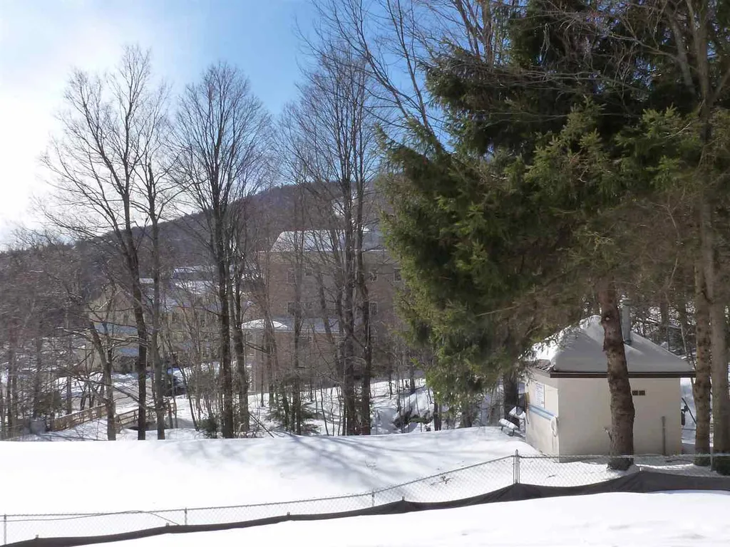 251 Mountainside Drive Warren VT 05674