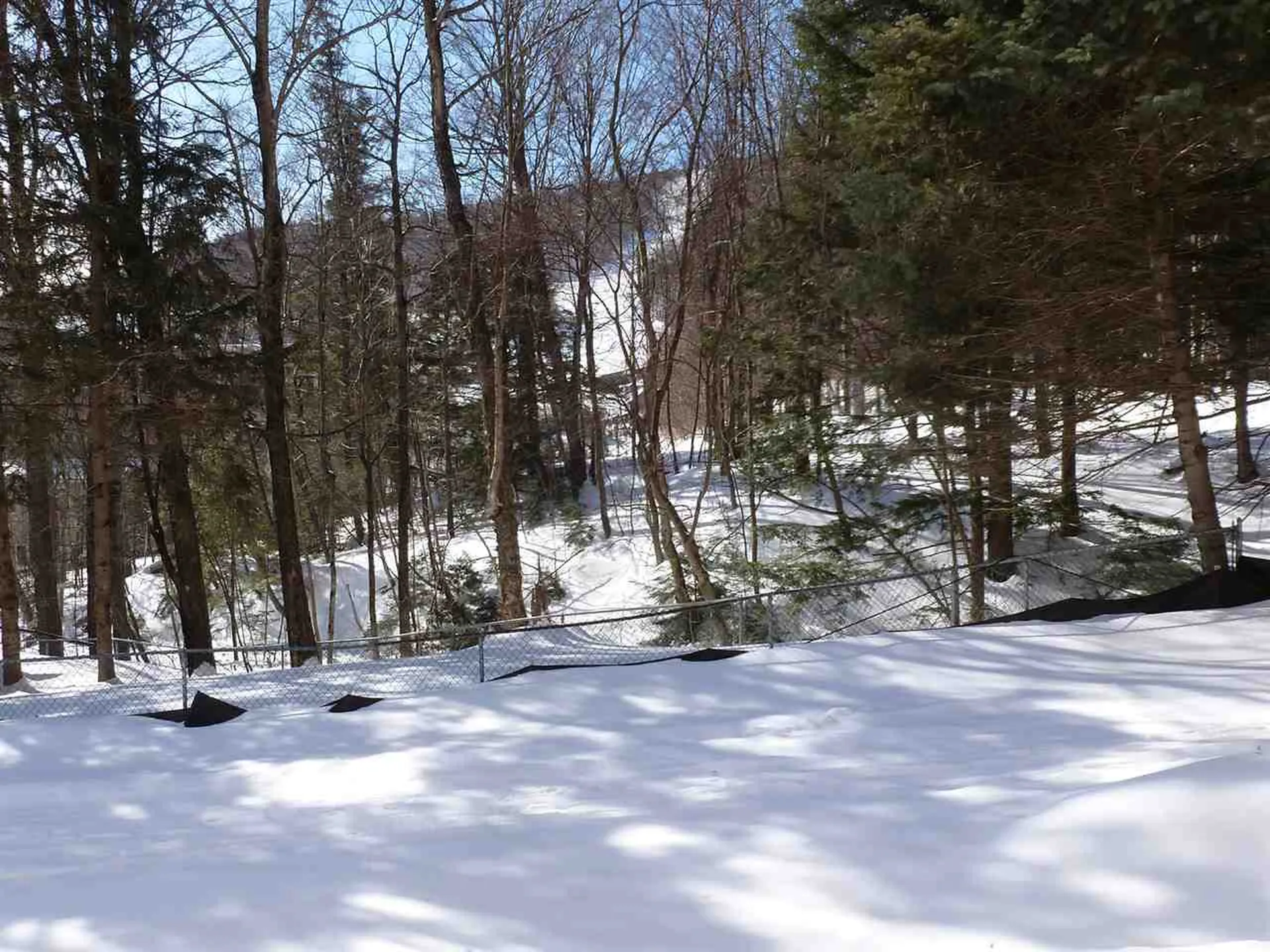 251 Mountainside Drive Warren VT 05674