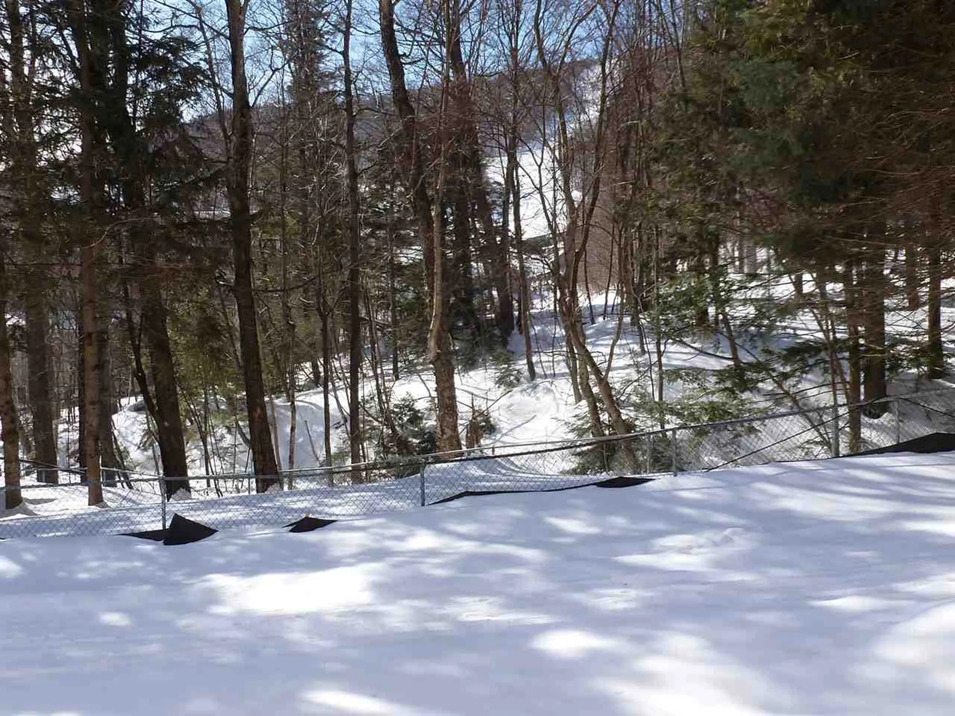 251 Mountainside Drive Warren VT 05674