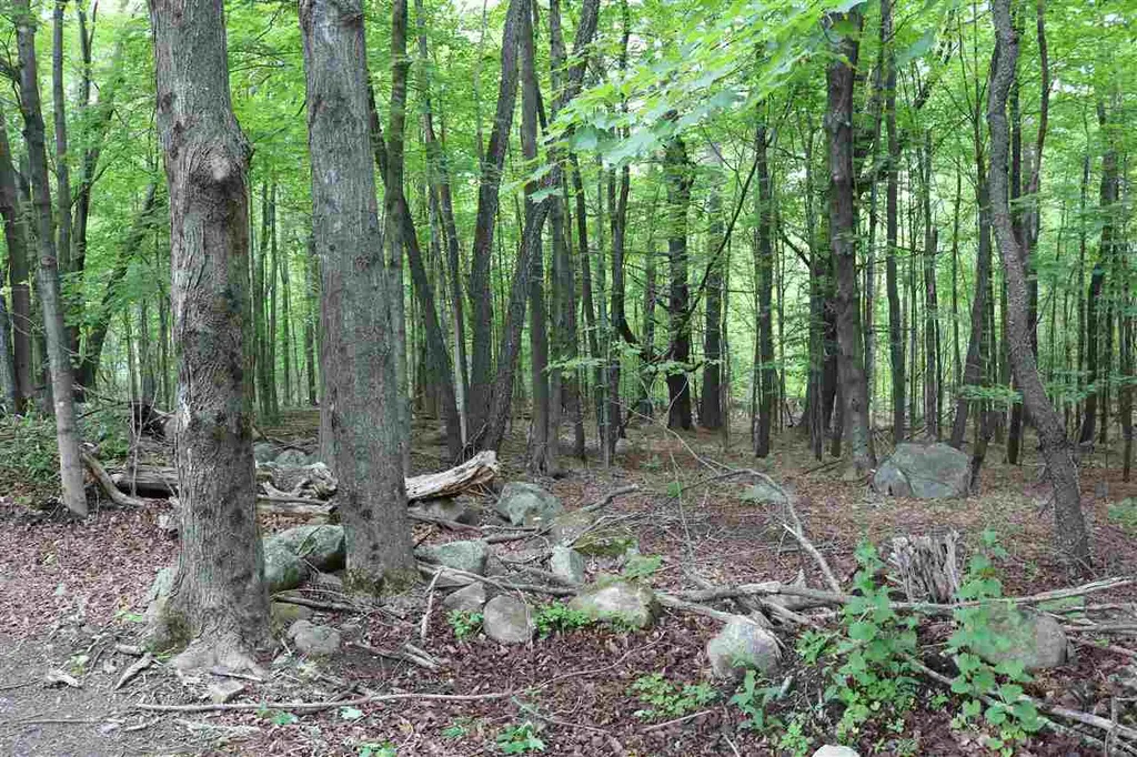 156 Paige Hill Road Goffstown NH 03045