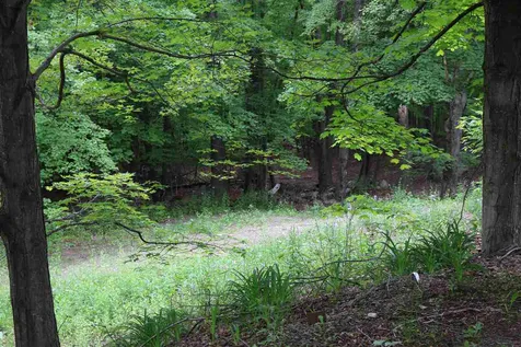 156 Paige Hill Road Goffstown NH 03045
