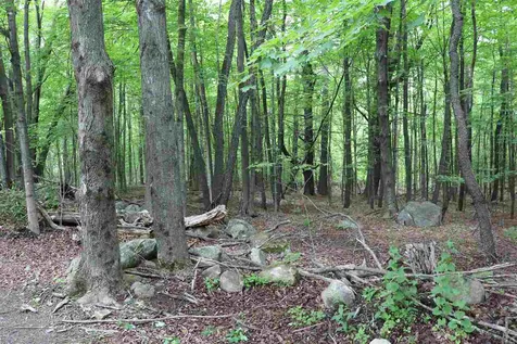 156 Paige Hill Road Goffstown NH 03045
