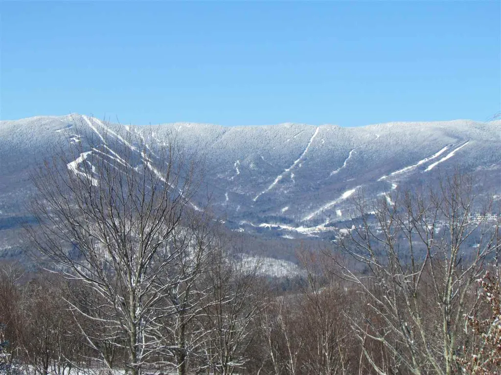 133 Cider Mountain Road Warren VT 05674
