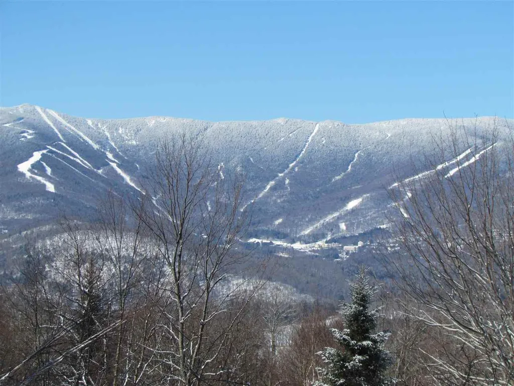 133 Cider Mountain Road Warren VT 05674