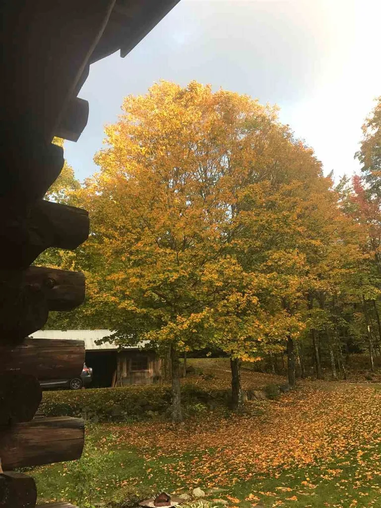 133 Cider Mountain Road Warren VT 05674
