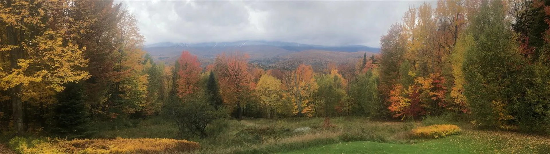 133 Cider Mountain Road Warren VT 05674