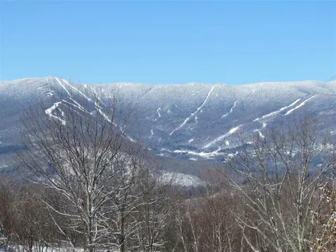 133 Cider Mountain Road Warren VT 05674