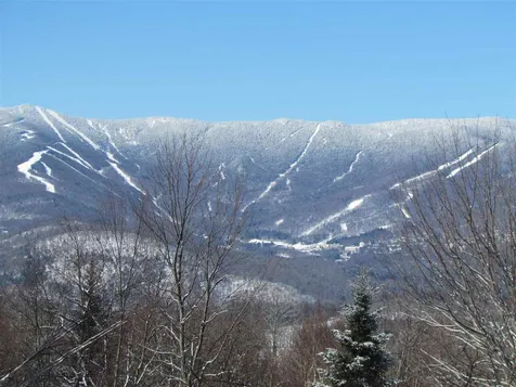 133 Cider Mountain Road Warren VT 05674