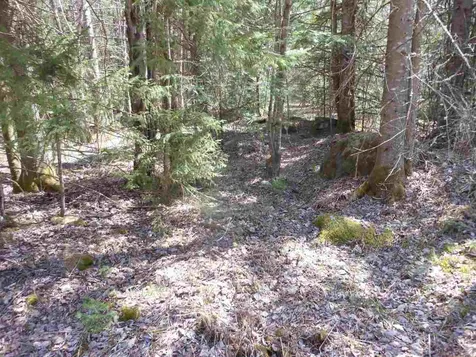000 Fleury Road Hyde Park VT 05655