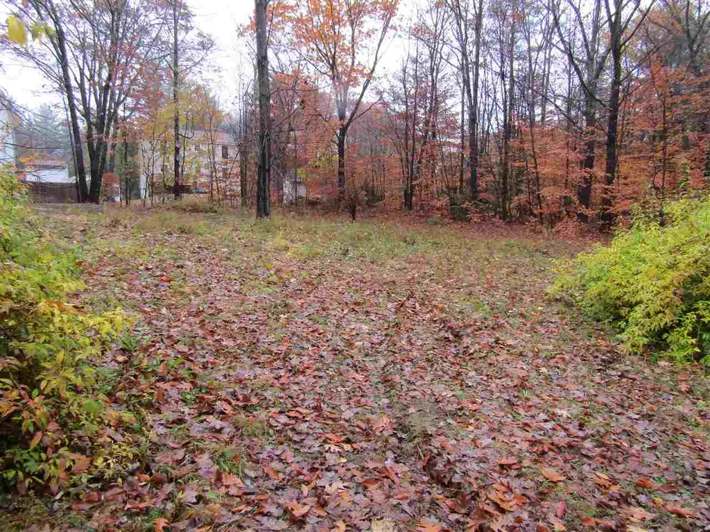 8 Robin Shore Drive Canterbury NH 03224